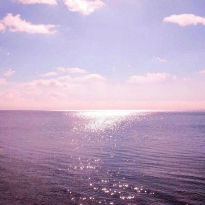 皇冠·app手机app下载