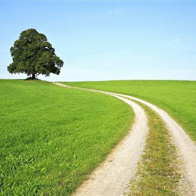 安博体育的最新版本app下载