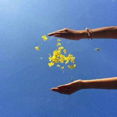 澳门新葡萄新京8883手机app下载