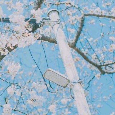 246天天好彩下载手机版