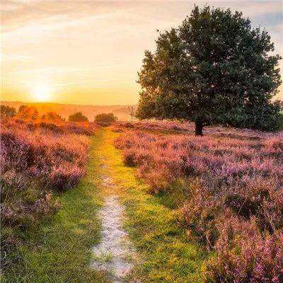 乐天堂点评指导