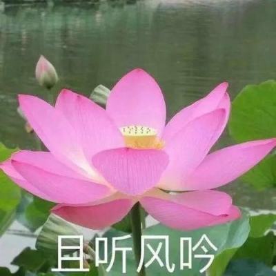 leyu·乐鱼-登录入口