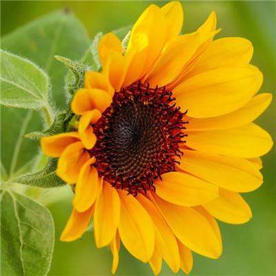 博鱼中国体育官网登录